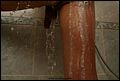 a587909.jpg