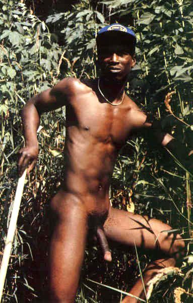 mbb0400.jpg