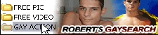 Robert's Gay Search