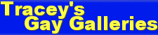 Tracey's Gay Galleries