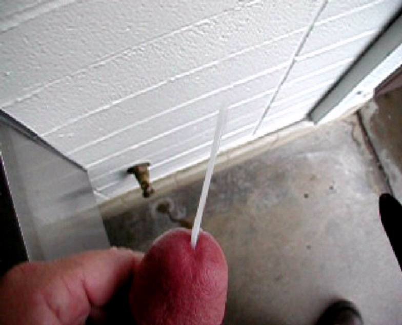 piss0102.jpg
