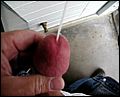 piss0103.jpg